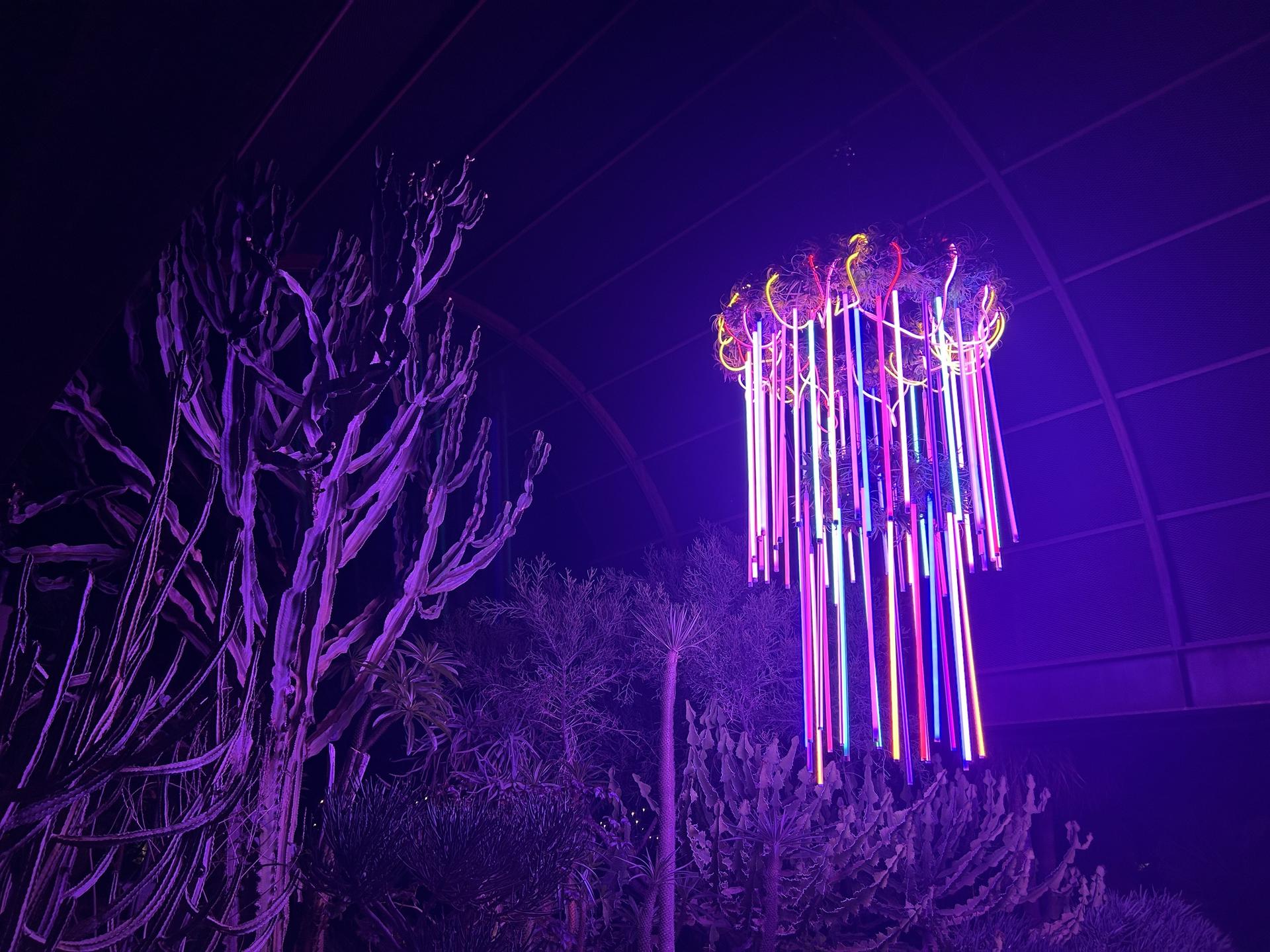 a chandelier with neon lights hanging from it hanging in front of trees