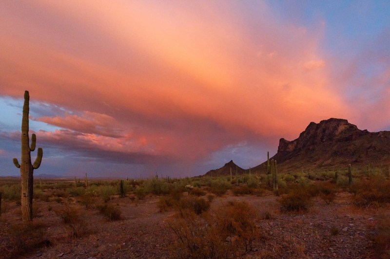 A shot of one of those beautiful Arizona sunsets in a desert setting
