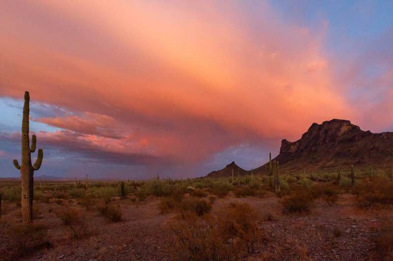 A shot of one of those beautiful Arizona sunsets in a desert setting