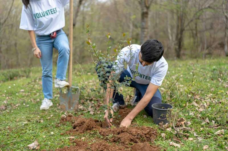 Microvolunteering in Arizona