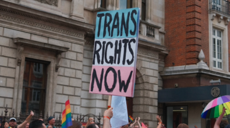 someone holding a sign that says Trans Rights Now