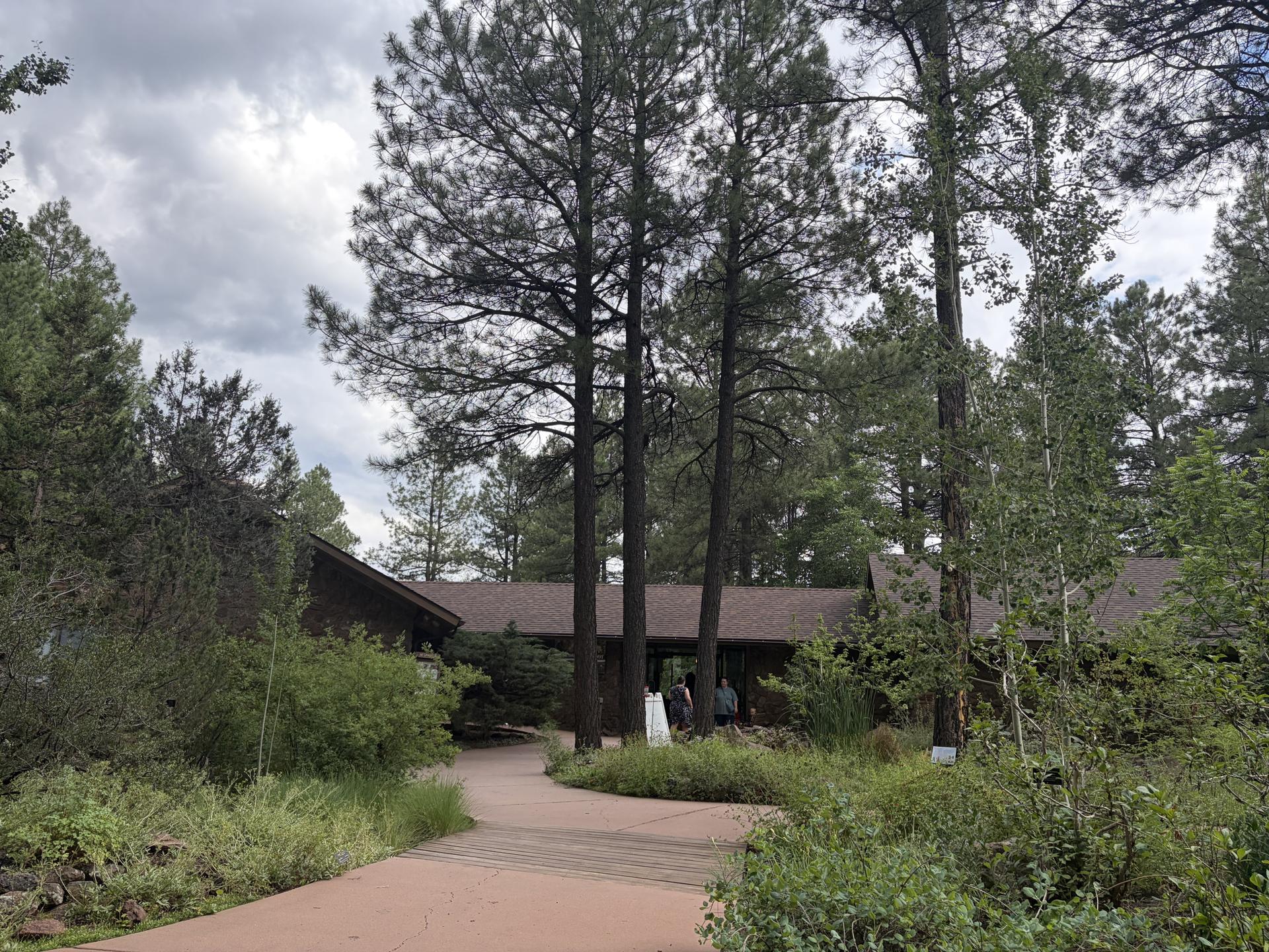 walkway leading up to a building with green trees and bushes