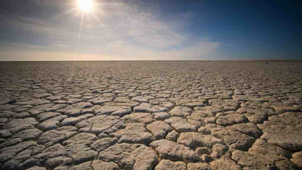 13 things you can do to help out during an Arizona drought