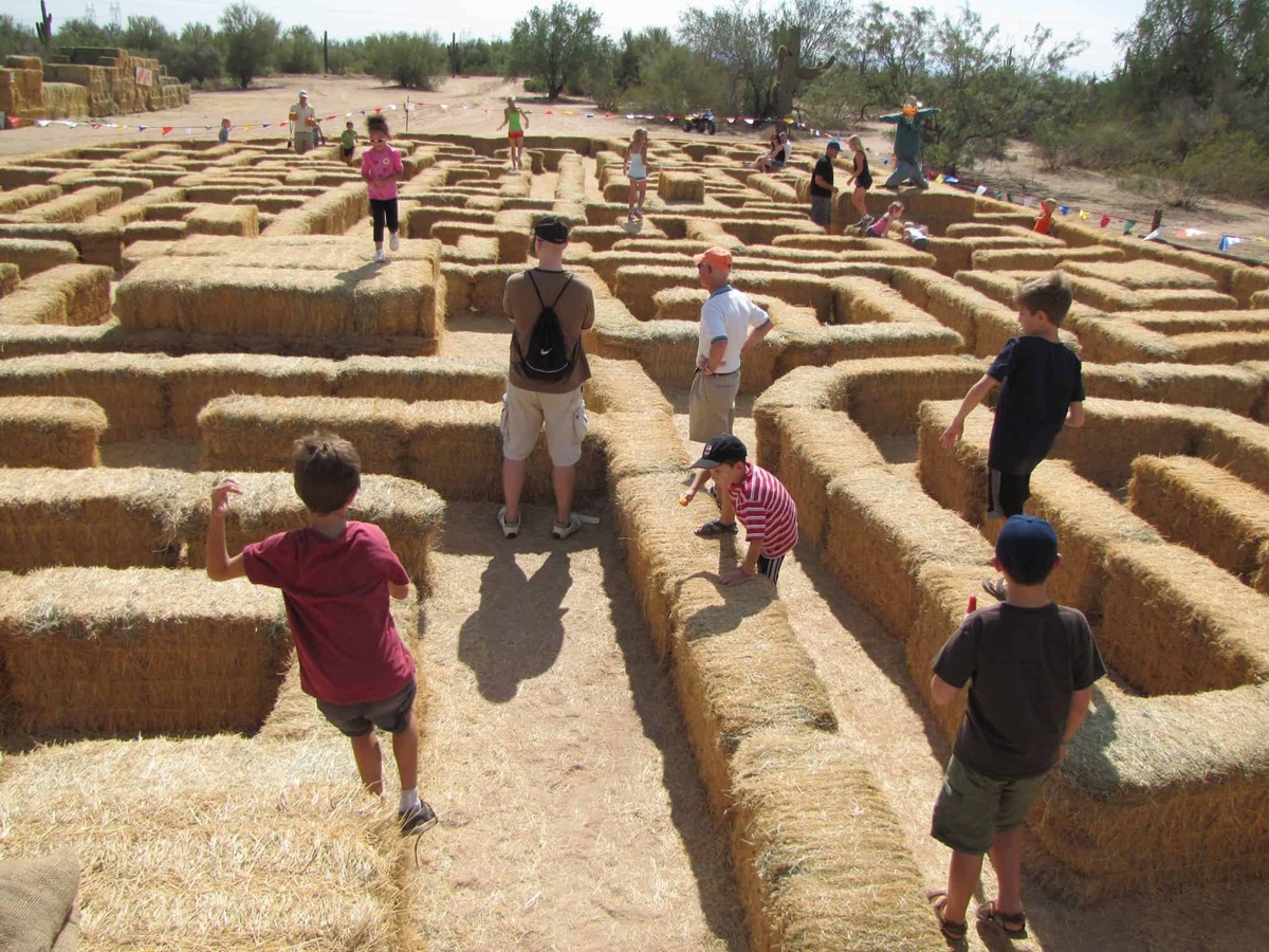 pumpkin patches in the Valley