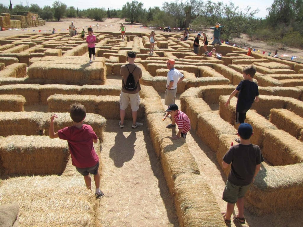 Fall fun in the Valley: Your guide to pumpkin patches, corn mazes, hayrides, & more